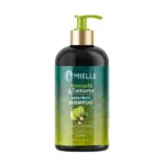 Mielle Organics Avocado and Tamanu Anti-Frizz Shampoo 355ml