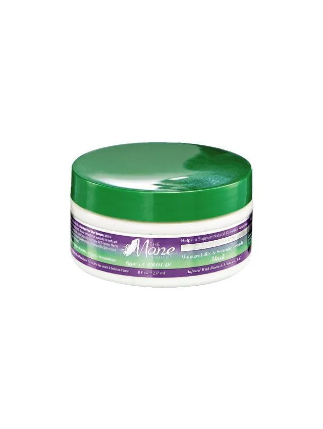 1-The-Mane-Choice-Hair-Type-4-Leaf-Clover-Mask-237ml.webp The Mane Choice Hair Type 4 Leaf Clover Mask 237ml - Imagen 1