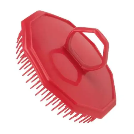 Cepillo Masaje Plástico